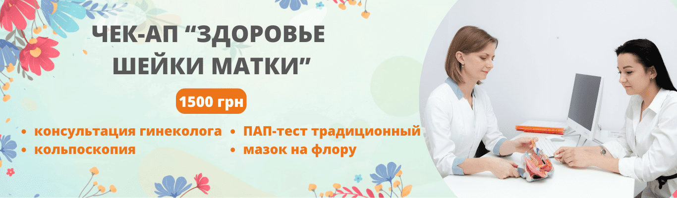 31 12 2024 31 12 2024